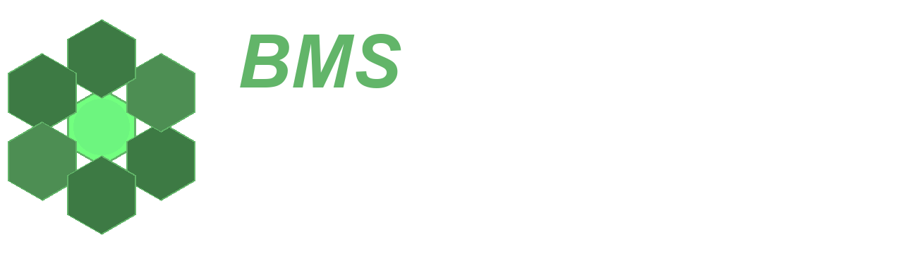 BMS STELLINA